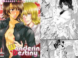 [RE089516] Wonderin Destiny