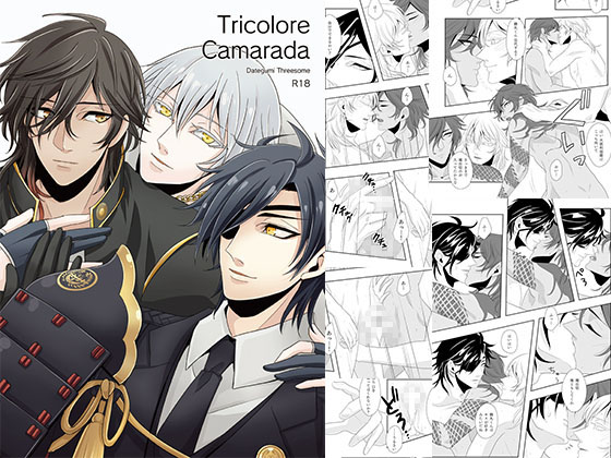 Tricolore Camarada By 五〇〇 Tricolore Camarada By 五〇〇