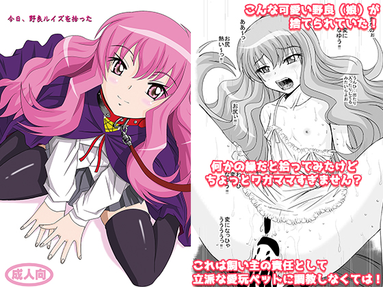 Today, I Picked Up a Stray Louise By Haruhon-dou Today, I Picked Up a Stray Louise By Haruhon-dou