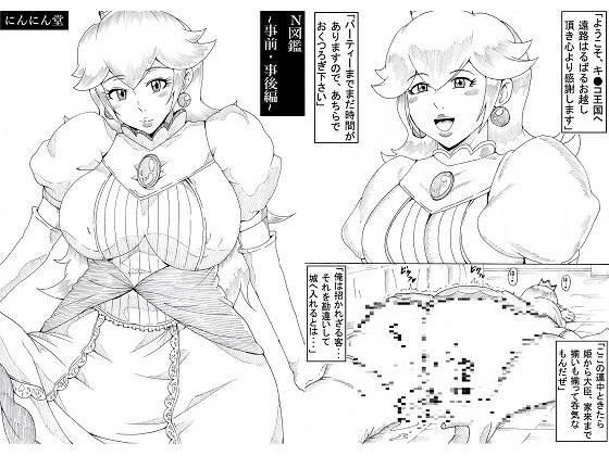 N-Zukan ~Before & After Edition~ By ninnindo N-Zukan ~Before & After Edition~ By ninnindo