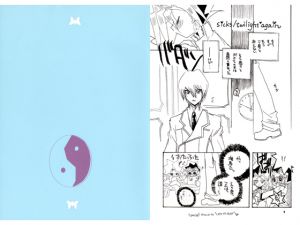 [RE120013] sicks/NEIN