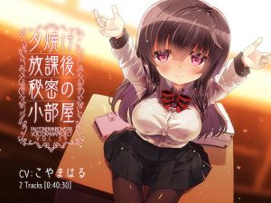 [RE278841] Secret Afternoon Sunset Room