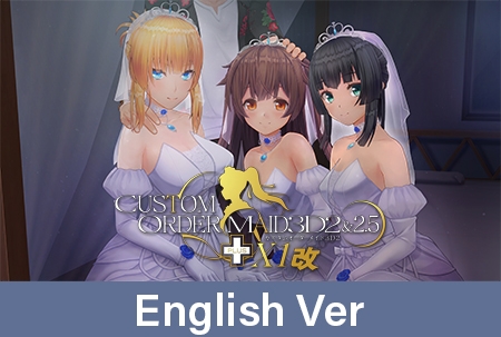Custom Order Maid 3D2&2.5+ X1 Dark / 【英語版】カスタムオーダーメイド3D2&2.5+ X1改 By Kiss Custom Order Maid 3D2&2.5+ X1 Dark / 【英語版】カスタムオーダーメイド3D2&2.5+ X1改 By Kiss