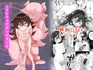 [RJ01180317] 【簡体中文版】TSトラップダンジョン2