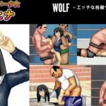 元気なエスパー少女「ヒナ」WOLF〜エッチなアップデート型格闘ゲーム〜 追加キャラ