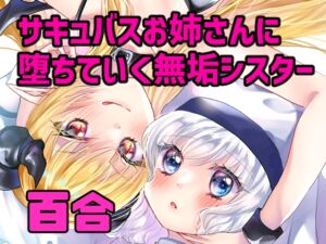 [RJ01393038] 【簡体中文版】ミセリコルデ