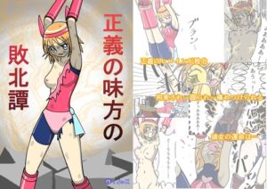 [RJ01395004] 【韓国語版】正義の味方の敗北譚