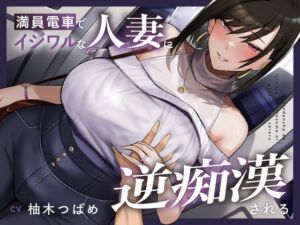 [RJ01403006] 【韓国語版】【全編潮吹き】満員電車でイジワルな人妻に逆痴○される