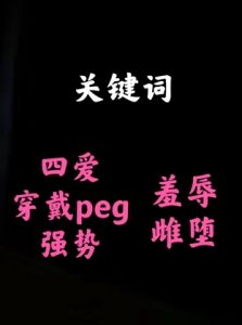 [RJ01459147] 【中文音声】水管工 反差人妻的驯化 男性向